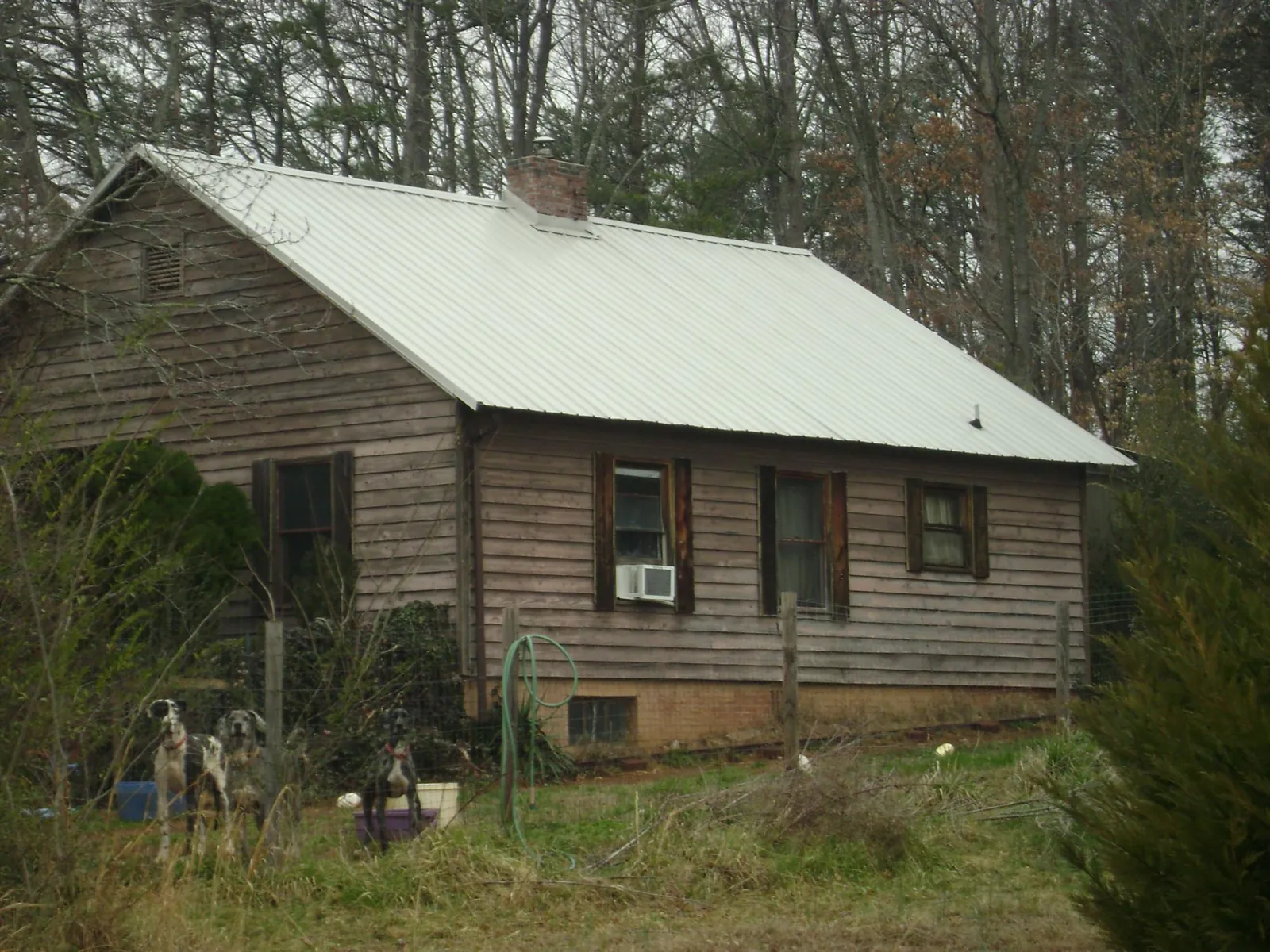 White metal roof on an old wood sided farmhouse, from a Asphalt Shingle Roof Repair job in Lubbock